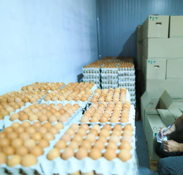 Productie van kippeneieren in de fabriek. Dozen met afgewerkte producten in — Stockfoto