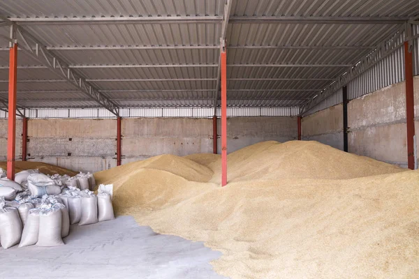 Haufen von Weizenkörnern und Säcken bei der Lagerung von Mühlen oder Getreide — Stockfoto