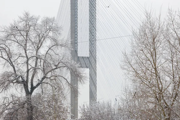 Pylon i Cable-uszami południowego przewodu-pozostał most przez th — Zdjęcie stockowe