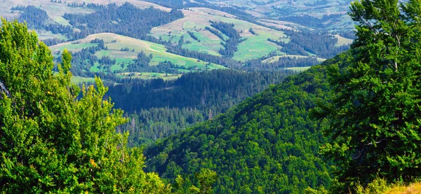 Красивий мальовничий літній пейзаж в Карпатському гори — стокове фото