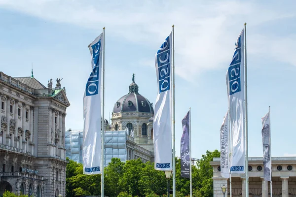 ВЕНА, Австрия - 26 мая: Флаги ОБСЕ (Организация по безопасности и сотрудничеству в Европе) — стоковое фото