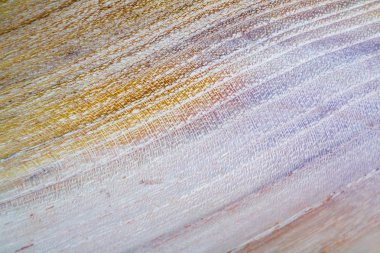 yanlış akasya - robinia pseudoacacia ahşap doku arka plan m