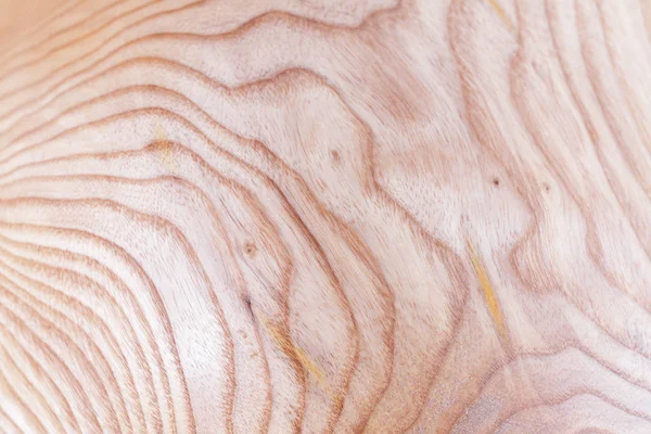 Frêne bois texture fond dans macro lentille shoot — Photo