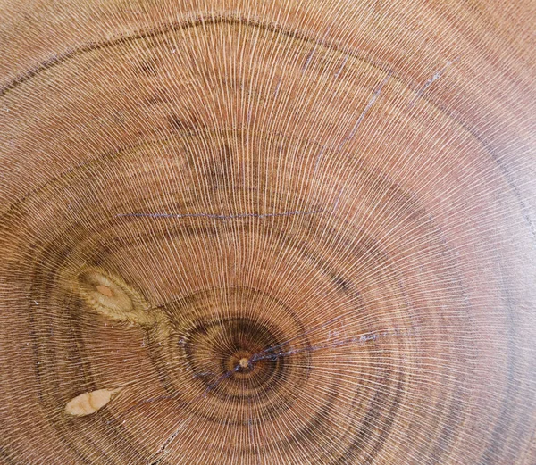 Prunus armeniaca, fundo textura de madeira de damasco em lente macro — Fotografia de Stock