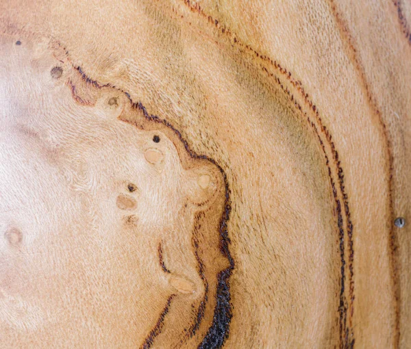 Αρταδίδα, φόντο από ξύλο βερίκοκου σε φακό μακρο — Φωτογραφία Αρχείου