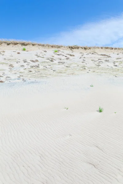 Zandduinen van de Koerse Schoorwal ook bekend als "dode of grijze Duin — Stockfoto