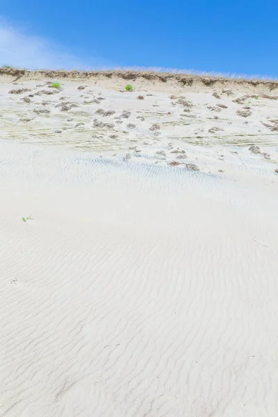Zandduinen van de Koerse Schoorwal ook bekend als "dode of grijze Duin — Stockfoto