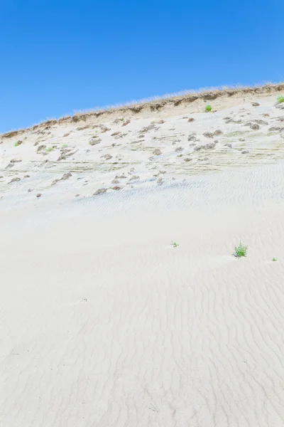 Sand dunes of the Curonian spit also known as 