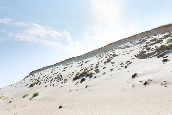 Zandduinen van de Koerse Schoorwal ook bekend als "dode of grijze Duin — Stockfoto