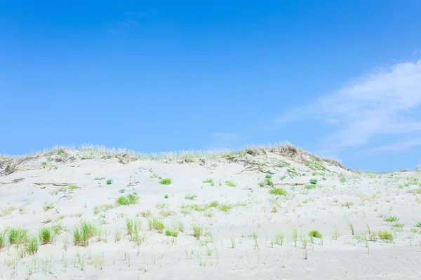 Zandduinen van de Koerse Schoorwal ook bekend als "dode of grijze Duin — Stockfoto