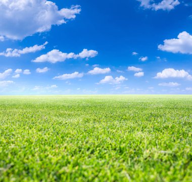 Classic beautiful landscape. Green surface of beautiful natural grassy lawn in summer sunny weather. Clear blue sky with cumulus clouds. Free from anything horizon. clipart