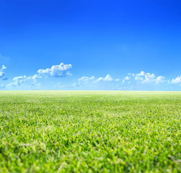 Klassisch Schöne Landschaft Grüne Oberfläche Von Schönem Naturrasen Bei Sonnigem — Stockfoto