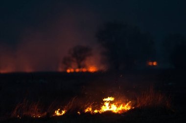 Kuru çimenler geceleri yanar. Kırsaldaki çayırlarda ve otlaklarda. Sorumsuz insanların karıştığı bir çevre felaketi. 300mm 'lik mercekle çekilen lüks mistik gece manzaraları..