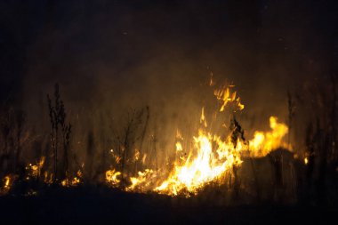 Kuru çimenler geceleri yanar. Kırsaldaki çayırlarda ve otlaklarda. Sorumsuz insanların karıştığı bir çevre felaketi. 300mm 'lik mercekle çekilen lüks mistik gece manzaraları..