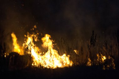 Kuru çimenler geceleri yanar. Kırsaldaki çayırlarda ve otlaklarda. Sorumsuz insanların karıştığı bir çevre felaketi. 300mm 'lik mercekle çekilen lüks mistik gece manzaraları..