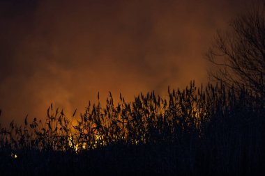 Kuru çimenler geceleri yanar. Kırsaldaki çayırlarda ve otlaklarda. Sorumsuz insanların karıştığı bir çevre felaketi. 300mm 'lik mercekle çekilen lüks mistik gece manzaraları..