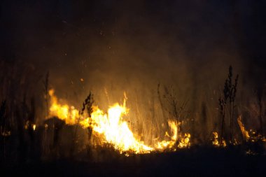 Kuru çimenler geceleri yanar. Kırsaldaki çayırlarda ve otlaklarda. Sorumsuz insanların karıştığı bir çevre felaketi. 300mm 'lik mercekle çekilen lüks mistik gece manzaraları..