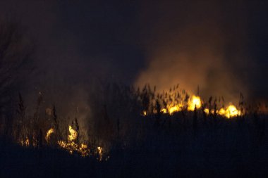 Kuru çimenler geceleri yanar. Kırsaldaki çayırlarda ve otlaklarda. Sorumsuz insanların karıştığı bir çevre felaketi. 300mm 'lik mercekle çekilen lüks mistik gece manzaraları..