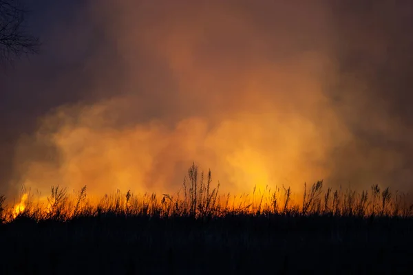 Der Nacht Brennt Trockenes Gras Weiden Und Wiesen Der Landschaft — Stockfoto