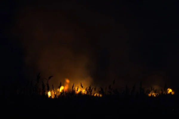 干草夜间燃烧 农村的牧场和草地 一场涉及不负责任的人的环境灾难 用300毫米镜头拍摄的豪华神秘夜景 — 图库照片