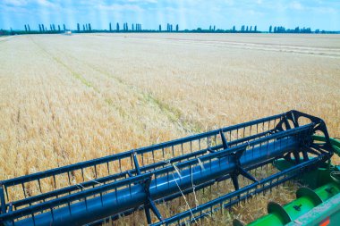 Ekinleri hasat etmek için kullanılan makine. Güneşli yaz gününde çavdar tarlasında hasat makinesini birleştirmek. Kombinasyon kabininden görüntü. Tarım makineleri teması.