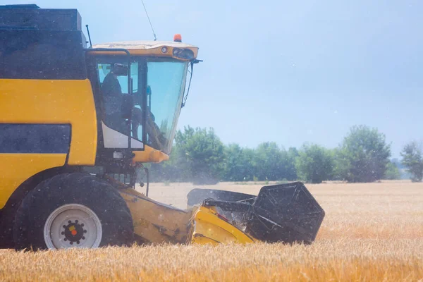 收割粮食作物的机器 在阳光明媚的夏日 在黑麦田里把收获机结合起来 农业机械主题 — 图库照片