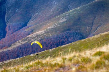 Paraglider yaz günü Karpat dağlarında uçuyor. Borzhava. Ukrayna.