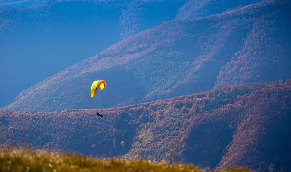 Paraglider Flyger Över Karpatiska Bergen Sommaren Höstdagen Det Borzhava Ukraina — Stockfoto