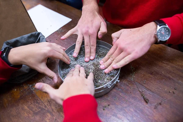 Los Voluntarios Ayudan Los Científicos Los Biólogos Tamizan Manualmente Utilizando — Foto de Stock