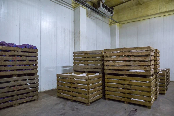 농작물 드라이 스토리지 채소를 상자들이 — 스톡 사진