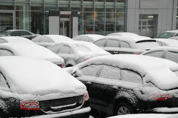 Площадь Перед Зданием Автосалона Дилерского Центра Новые Автомобили Покрыты Снегом — стоковое фото