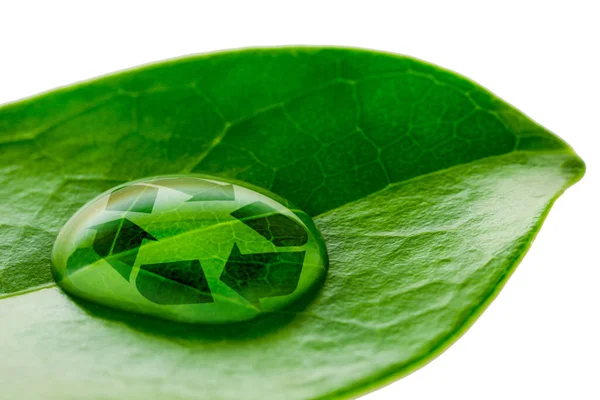 Schöner Wassertropfen Auf Einem Blatttrieb Und Recycling Logo Makrolinse — Stockfoto