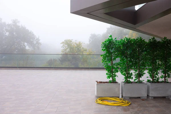 Yellow garden hose for watering lying in a floor curled in the corner. Artificial green plants in the form of a green fence. Outdoor summer terrace. Autumn fog in the park.