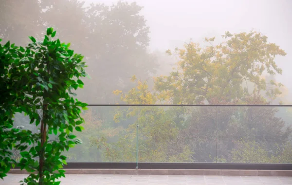 Осенний Туман Старом Величественном Парке Цветные Листья Деревьях Искусственные Зеленые — стоковое фото