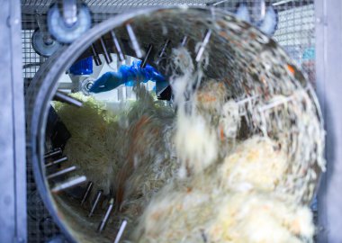 Endüstriyel gıda üretimi. Lahana turşusu veya mayalanmış lahana üretimi. Otomatik koça temizleyici, sebze dilimlemek için kesici ve döner davul karıştırıcı..