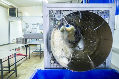 Endüstriyel gıda üretimi. Lahana turşusu veya mayalanmış lahana üretimi. Otomatik koça temizleyici, sebze dilimlemek için kesici ve döner davul karıştırıcı..