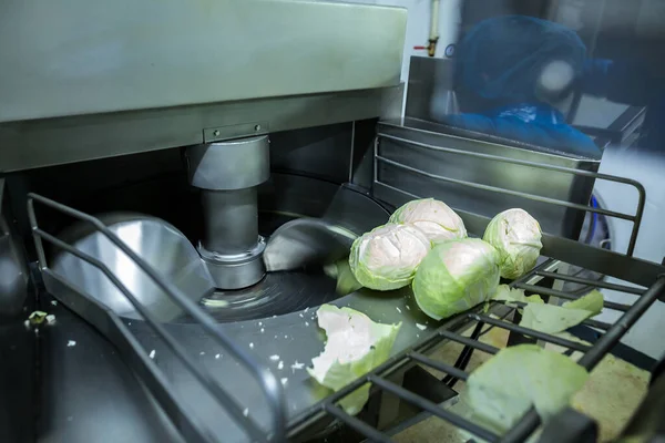 Industrial production of food. Production of sauerkraut or fermented cabbage. Automated cob removal, cutter for slicing vegetables, and rotary drum mixer.