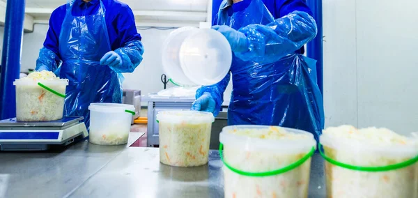 Endüstriyel gıda üretimi. Lahana turşusu veya mayalanmış lahana üretimi. Dilimleme ve karıştırmadan sonra lahana bir kovaya doldurulur ve tuzla doldurulur..