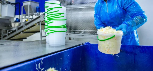 Endüstriyel gıda üretimi. Lahana turşusu veya mayalanmış lahana üretimi. Dilimleme ve karıştırmadan sonra lahana bir kovaya doldurulur ve tuzla doldurulur..