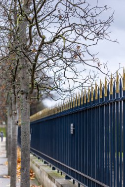 Lüksemburg Bahçeleri 'nin çiti olan altın dikenli uzun mavi metal bir çit, Paris, Fransa' da sonbaharda yaprakları dökülen ve çıplak akçaağaç ağaçlarıyla çevrili bir kaldırımın yanındadır..
