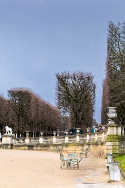 Fransa, Paris 'teki Lüksemburg Bahçeleri' nde demir parmaklıklar ve dekoratif vazolarla taş basamaklar. Bulutlu bir sonbahar gününde arka planda çimenli bir yamaç ve çıplak ağaçlar vardır..