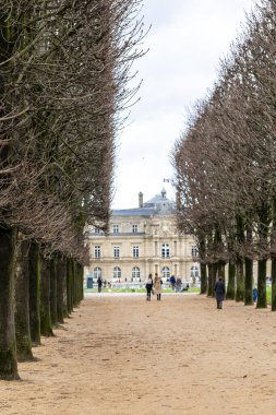 Lüksemburg Bahçeleri 'ndeki çıplak kestane ağaçlarından oluşan uzun bir ara sokak Lüksemburg Sarayı' na çıkıyor. Fransa 'nın Paris şehrinde bulutlu bir günde tanınmayan insanlar çakıllı bir yolda yürüyorlar..
