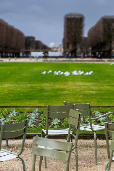 Yeşil metal sandalyeler ön planda, yeşil çimlerde bir martı sürüsü ve Lüksemburg Bahçeleri, Paris, Fransa 'da bulutlu bir sonbahar gününde arka planda budanmış ağaçlarla birlikte..