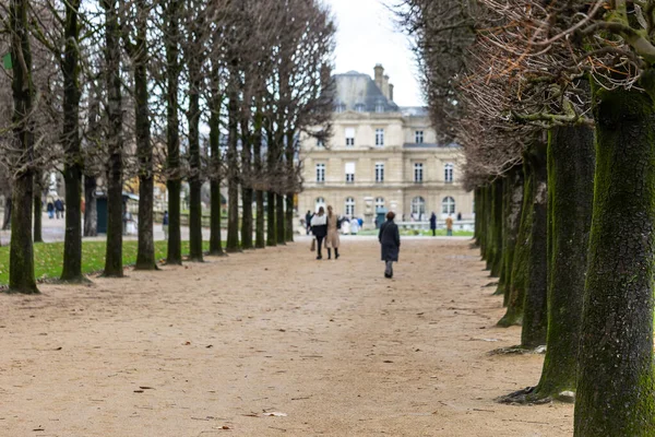 Lüksemburg Bahçeleri 'ndeki çıplak kestane ağaçlarından oluşan uzun bir ara sokak Lüksemburg Sarayı' na çıkıyor. Fransa 'nın Paris şehrinde bulutlu bir günde tanınmayan insanlar çakıllı bir yolda yürüyorlar..
