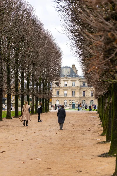Lüksemburg Bahçeleri 'ndeki çıplak kestane ağaçlarından oluşan uzun bir ara sokak Lüksemburg Sarayı' na çıkıyor. Fransa 'nın Paris şehrinde bulutlu bir günde tanınmayan insanlar çakıllı bir yolda yürüyorlar..