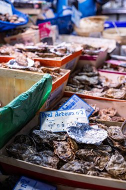 Alicante, İspanya 14 Kasım 2021: Melia tarafından Alicante 'de bulunan Alicante Gran Sol Oteli' nin cephesinde büyük bir duvar resmi bulunmaktadır. Noel ışıkları olan cadde restoran ve dükkanlarla dolu..