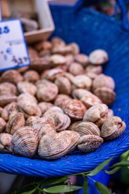 Praires 'in taze midyeleri, Venüs verrucosa, siğilli Venüs veya fasolara türü olarak da bilinir, Fransa' nın Paris kentindeki bir deniz ürünleri pazarında mavi bir sepette satılıktır..