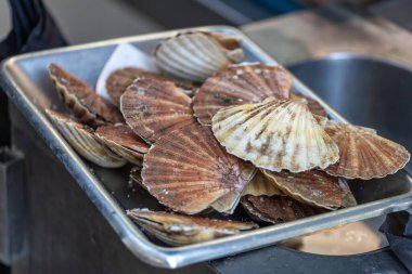 Taze deniz tarakları Fransa 'nın Paris kentindeki bir deniz ürünleri pazarında metal bir tepside sergilenmektedir. Kabukları turuncu ve kahverengidir..