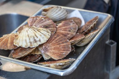 Taze deniz tarakları Fransa 'nın Paris kentindeki bir deniz ürünleri pazarında metal bir tepside sergilenmektedir. Kabukları turuncu ve kahverengidir..