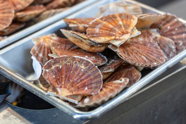 Taze deniz tarakları Fransa 'nın Paris kentindeki bir deniz ürünleri pazarında metal bir tepside sergilenmektedir. Kabukları turuncu ve kahverengidir..